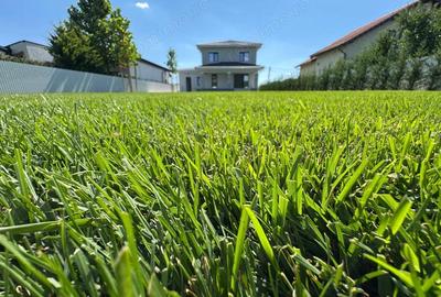 Casă cu 5 camere cu Teren 1000 Mp în Dumbrăvița