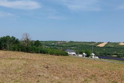 Teren intravilan -700 mp in Paleu, Bihor- intre padure si lac, cu PUZ aprobat - 2