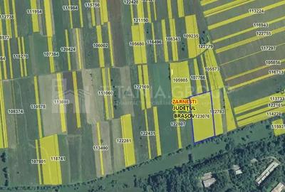 Teren intravilan, 7838 mp, cu priveli?te superba spre mun?i Zarne?ti - 2