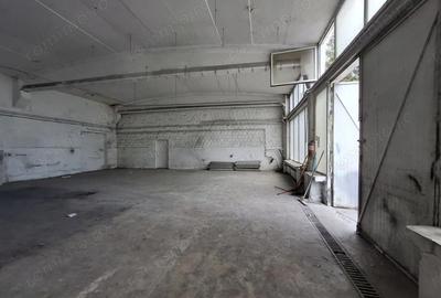 Spațiu comercial, de 500 mp, în Theodor Pallady - 5