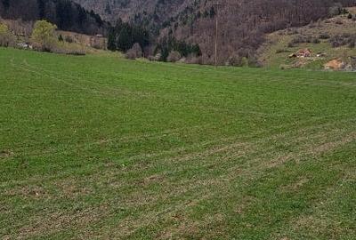 Teren Construcții intravilan de 1000 mp, în Sud-Est - 14