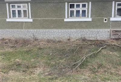 Casă cu 2 camere în Diviciorii Mari - 3