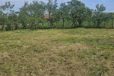 Spațiu comercial, în Boju - 1