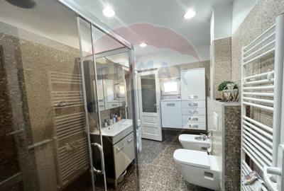 Casa str. Progresului , Sebes, destinatie : uni/multifam... - 11