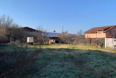 Teren intravilan 1.040 mp Lipovei-II de la Brad - 1