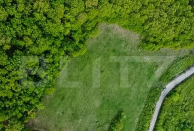 Teren superb, in mijlocul naturii, 18.360 mp, la Carji?i - 6