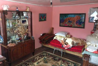 Casă cu 4 camere în Rădulești - 7