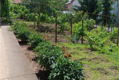 Casă cu 5 camere în Copou - 1