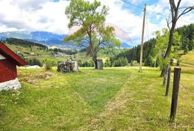 Teren de vis in Fundata 1934mp sau 3868mp, la inal?im... - 14