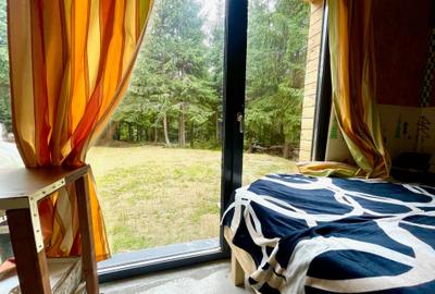 Cabana de vanzare, langa Partia Marisel, comision 0% Cabana de vanzare, langa Partia Marisel, comision 0% - 8