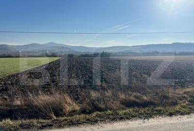 Teren de 8188 mp, în Central - 3