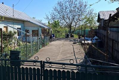 Casă cu Teren 1800 Mp în Filipeștii de Târg - 2