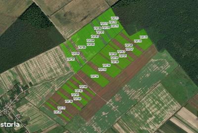 Spațiu comercial, în Răcari - 1