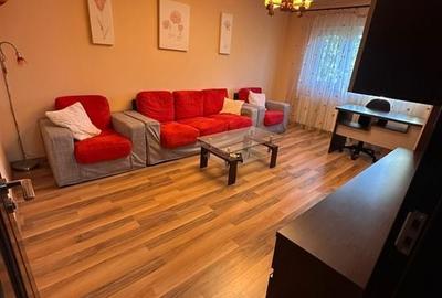 Apartament 2 camere decomandat mobilat și utilat Gorjului / N-uri A500 Apartament 2 camere decomandat mobilat și utilat Gorjului / N-uri A500 - 2