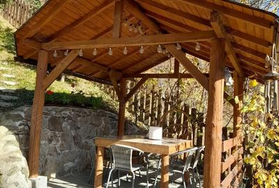 Casă cu 2 camere în Lăpuștești - 3