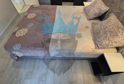 Apartament 3 Camere SunLake Residence Fundeni Bucuresti - 17