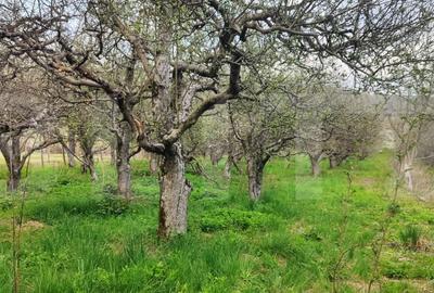 Spațiu comercial, în Gemenea-Brătulești - 2