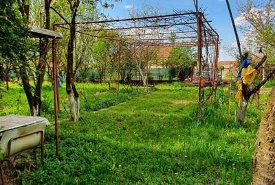 Teren de 5000 mp, în Careiului - 6