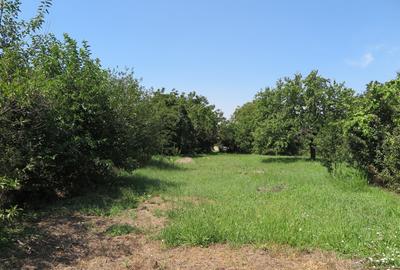 Teren de 17777 mp, în Central - 12