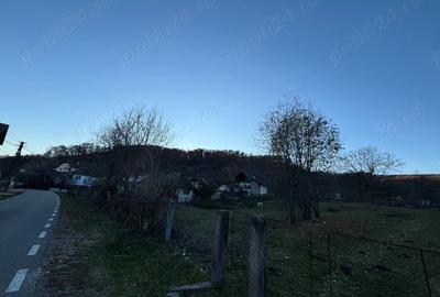 Teren de 1600 mp, în Mihăești - 1
