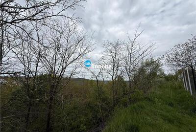 Teren Construcții intravilan de 1500 mp, în Rediu - 4