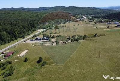Teren de 5561 mp, în Paltin - 4