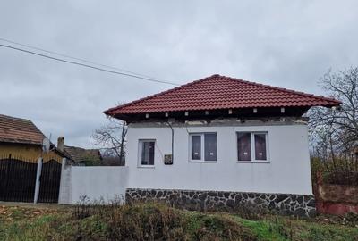 Casă individuală cu 5 camere cu Teren 3000 Mp în Alioș - 1