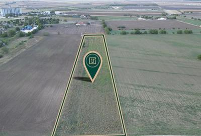 Teren intravilan cu po?en?ial de 25500 mp in Pecica - 1