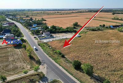 Teren Construcții intravilan de 7976 mp, în Crângurile - 15