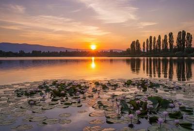 TEREN SILISTEA SNAGOVULUI 5000mp iesire LAC 30ml - 1