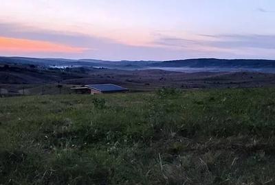 Teren agricol de 3000 mp, în Săliștea Nouă - 3