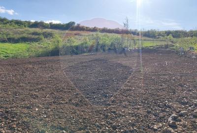 Teren Construcții intravilan de 1200 mp, în Săldăbagiu de Munte - 10