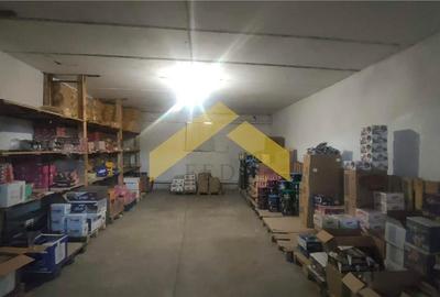Hale de vanzare in localitatea Sebis, Arad - 10