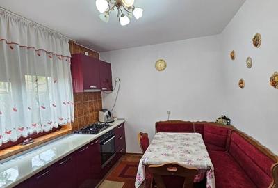Casă cu 6 camere cu Teren 800 Mp în Calea București - 11