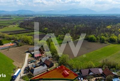 Spațiu comercial, în Lunca Calnicului - 1