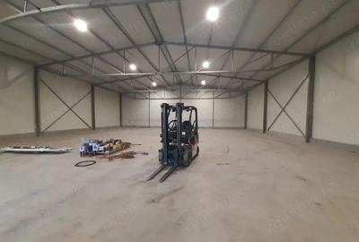 Hala noua in zona Gara Catelu, Drumul Intre Tarlale - 2