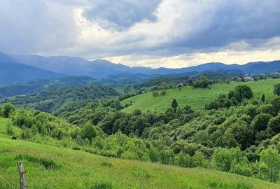 Teren pentru casa de vacanta , Pestera , Brasov - 15