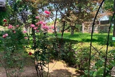 APARTAMENT CU 2 CAMERE IN ZONA CL ARADULUI LA 90.000 EURO - 12