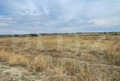 Teren de 4368 mp, în Artego