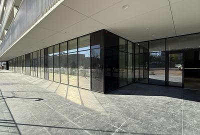 Penthouse etajele 8,9 si 10 cu 4 camere in Primavera Campus, terasa cu vedere - 39