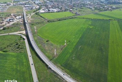 Teren de 28089 mp, în Micălaca - 19