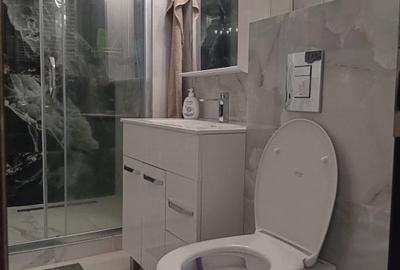 Apartament cu 2 camere decomandat în Doamna Ghica - 15