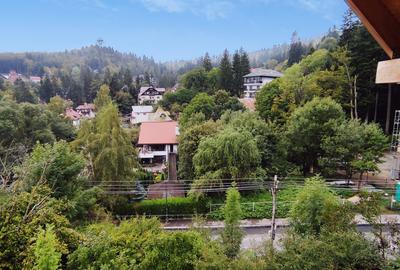 Sinaia / Peles - Vila D + P + M - 10 Camere - 260 mp utili - 700 mp teren - 21