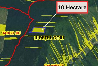 Teren de 100000 mp, în Bălănești - 3