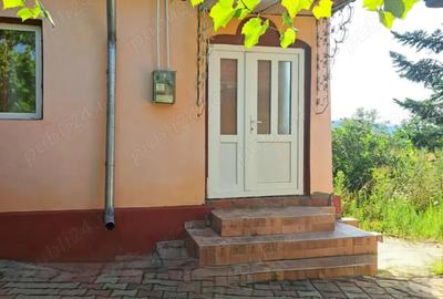 Casă cu 5 camere cu Teren 7900 Mp în Pleșcoi - 6