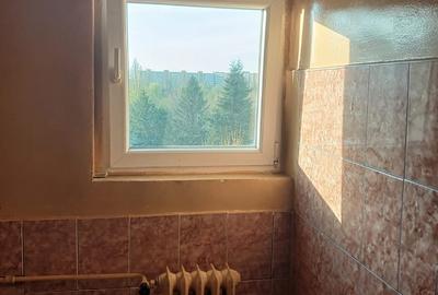 Garsonieră în Sălăjan - 6