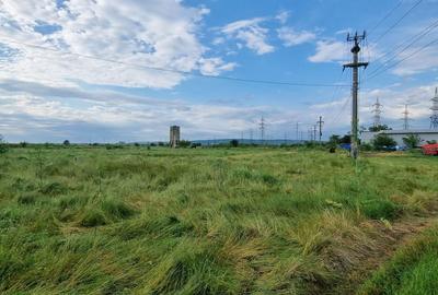 Teren Construcții intravilan de 10000 mp, în Nord-Est - 12
