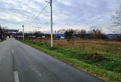 TEREN INTRAVILAN POLOVRAGI - 9