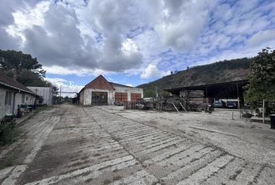 Spațiu comercial, de 1,280 mp, în Șoimoș - 20