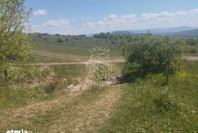 Teren de 2900 mp, în Central - 2
